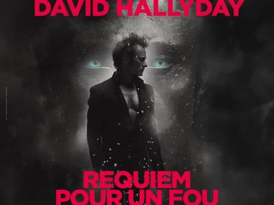 David Hallyday – Requiem pour un fou - Culture Concerts - Opéras - Soirées Spectacles - Cirques Musique de variété Rock Spectacle Concert - Le Dôme - Spectacle-Marseille - Sortir-a-Marseille