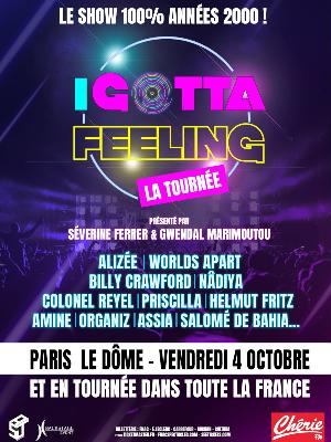 I Gotta Feeling – La Tournée - Culture Concerts - Opéras - Soirées Spectacles - Cirques Musique de variété Spectacle Concert - Le Dôme - Spectacle-Marseille - Sortir-a-Marseille