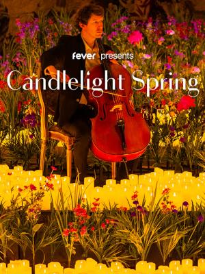 Candlelight Spring : Hommage à Jean-Jacques Goldman

Culture Concerts - Opéras - Soirées Concert

Vendredi 31 mai 2024 à 21h.

Le Cloître