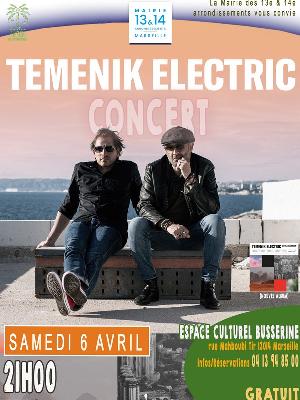Temenik Electric - Culture Concerts - Opéras - Soirées Musique du monde Rock Concert - Espace Culturel Busserine - Spectacle-Marseille - Sortir-a-Marseille